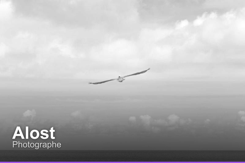 Photographe à Alost, Belgique - Trouvez un professionnel