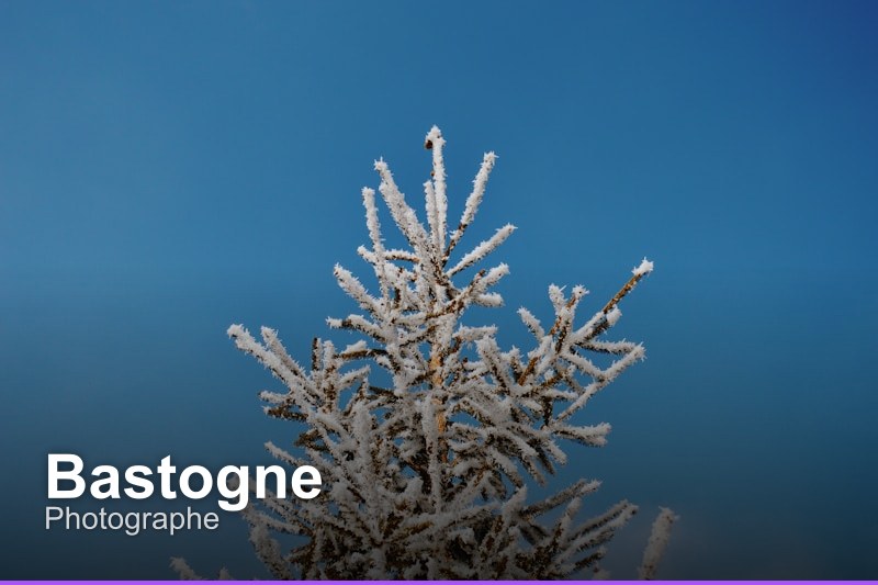 Photographe à Bastogne, Belgique - Trouvez un professionnel