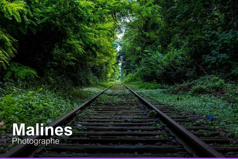 Photographe à Malines, Belgique - Trouvez un professionnel