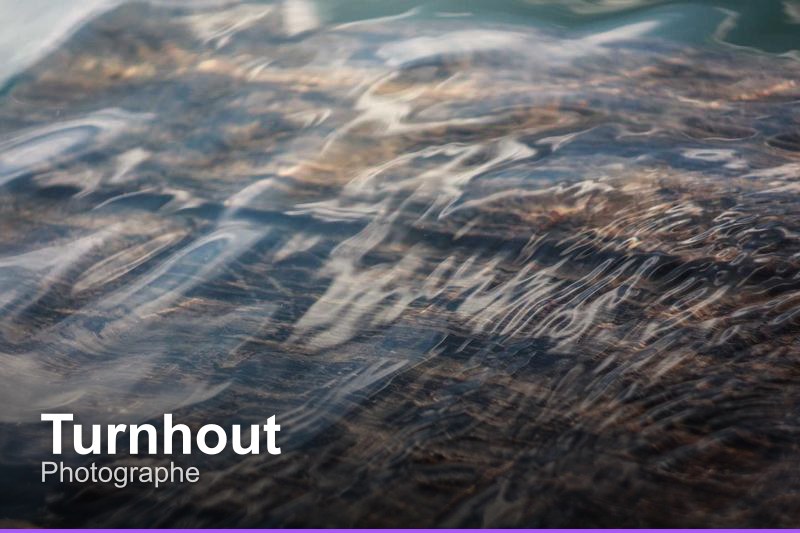 Photographe à Turnhout, Belgique - Trouvez un professionnel